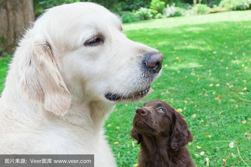 ŴФʲôԻĲӰ(ŴФʲôǿ˵)