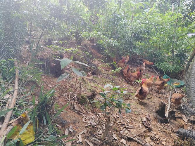 揭露金牛座男生喜欢什么样的女生 揭露金牛座男生喜欢什么样的女生