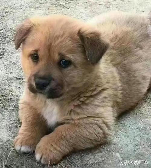 孔彩霞同名同姓会带来什么样的命理隐忧与吉凶影响(孔彩霞同名同姓的命理五格数理会带来什么影响吗) 孔彩霞同名同姓会带来什么样的命理隐忧与吉凶影响(孔彩霞同名同姓的命理五格数理会带来什么影响吗)