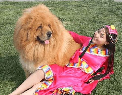 孕妇梦见和好多人一起赛跑预示什么意思_孕妇梦见田里好多鹅蛋预 孕妇梦见和好多人一起赛跑预示什么意思_孕妇梦见田里好多鹅蛋预