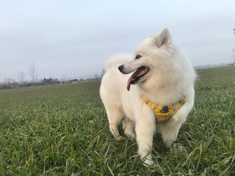 阳台风水之如何避免煞气 阳台风水之如何避免煞气