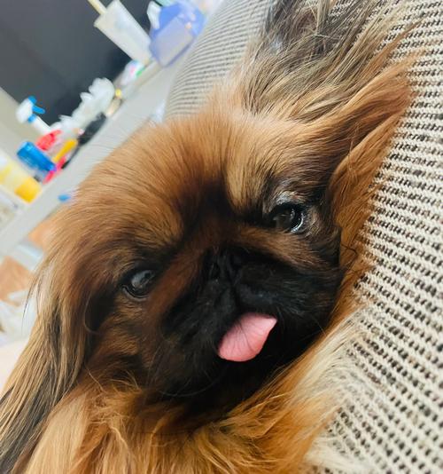 主题婚礼策划方案_5种浪漫婚礼主题 主题婚礼策划方案_5种浪漫婚礼主题