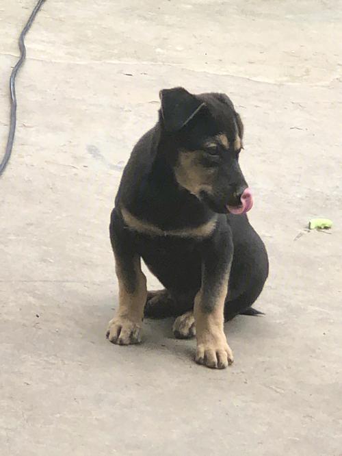 صǩǩ;в(صǩǷ谭)