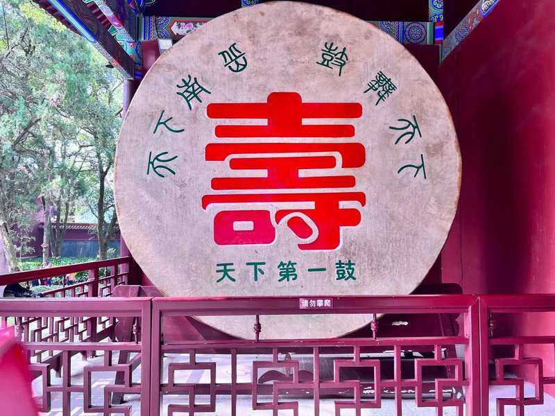 5�ų�����Ħ����