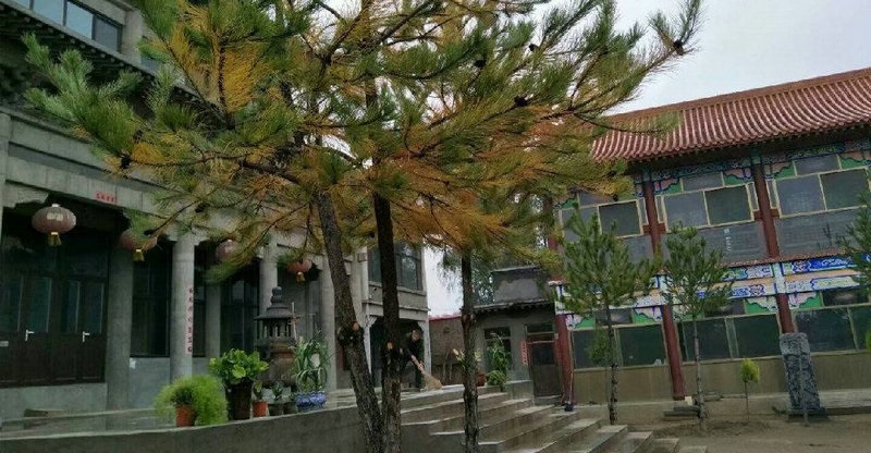 愿彼此执手相依 愿彼此执手相依