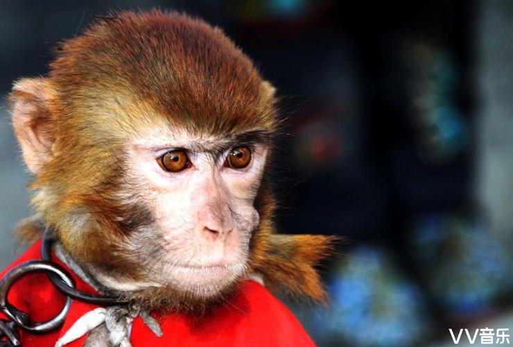 ��Դ�����ʱ���������