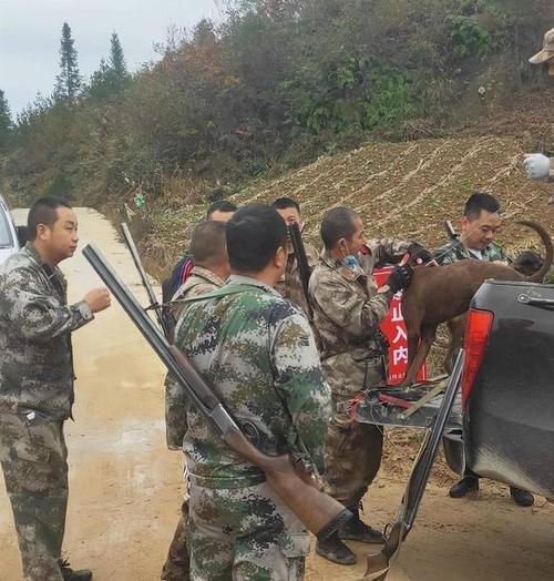 ��ο���ˮ����