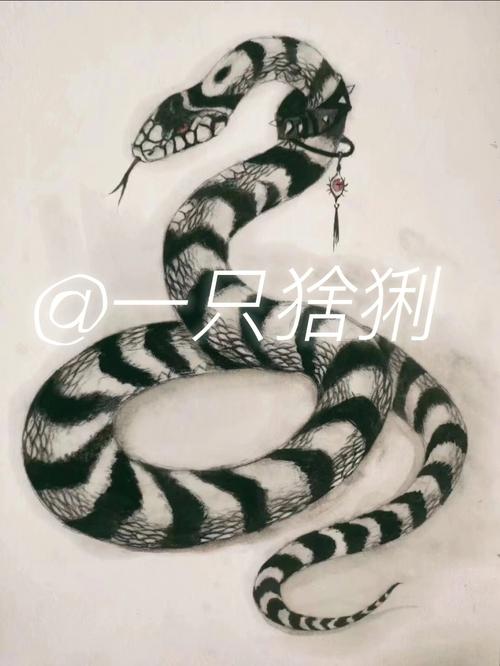 ����˫��С��������