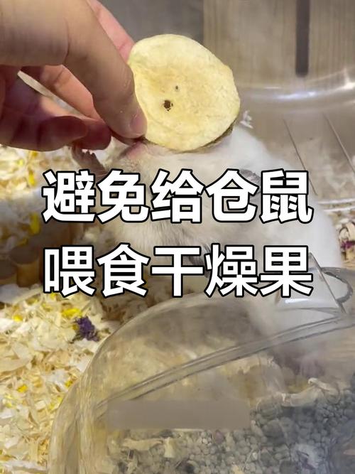 ӷǩ_λΣص(ΣаӷǩǷɿ)