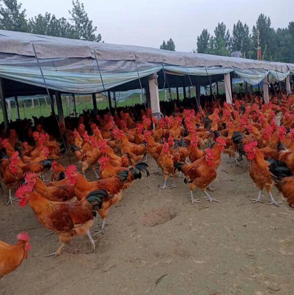 神秘商务风水禁忌 神秘商务风水禁忌