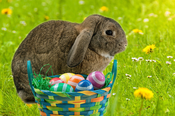 双胞胎文姓起名 双胞胎文姓起名