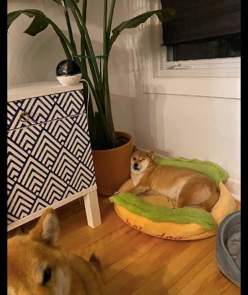 ��������ȡ���۸�Ϊ�λ�Ӱ�칵ͨ���������Ӱ�ǿ��(��������ȡ���۸��Ӱ�캢�ӵĹ�ͨ������)