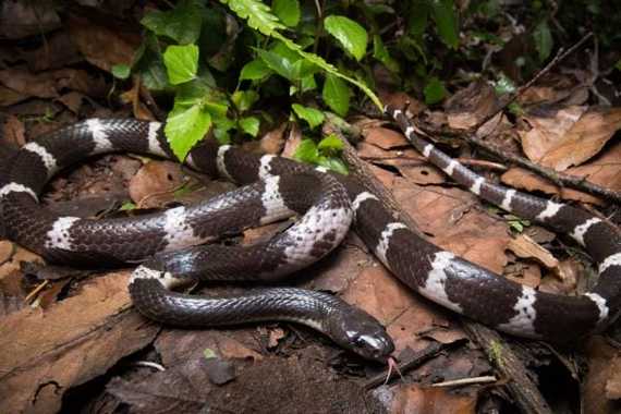 �ȹ���ʮ�� �ȹ���ʮ�ɵĵ�