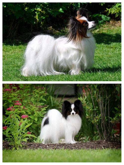 ���ذ»�ä�������� �㽭��Ů��ʵ��������