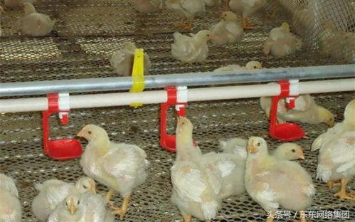 60ǩǩ_ԵЭǩ(60ǩǩܷ޹ϵ)