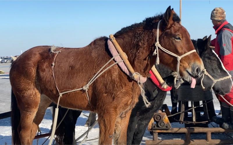 2012如何提升事业运 2012如何提升事业运