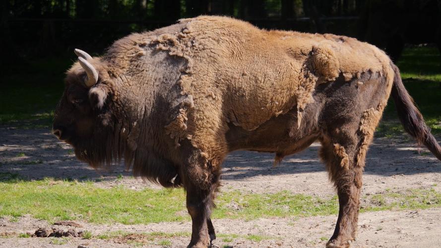 怎样相面看手相 怎样相面看手相