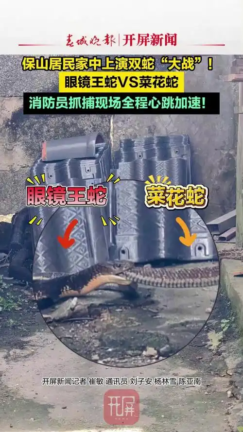 ��ھ���ɷ��⣬����ı��Լ���������