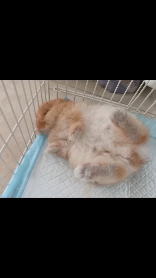 ���������������� ��һ���Լ�����