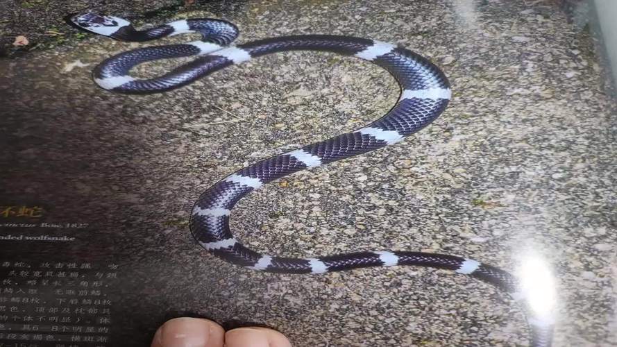 زλ÷ˮ(ҵװʲôˮ )