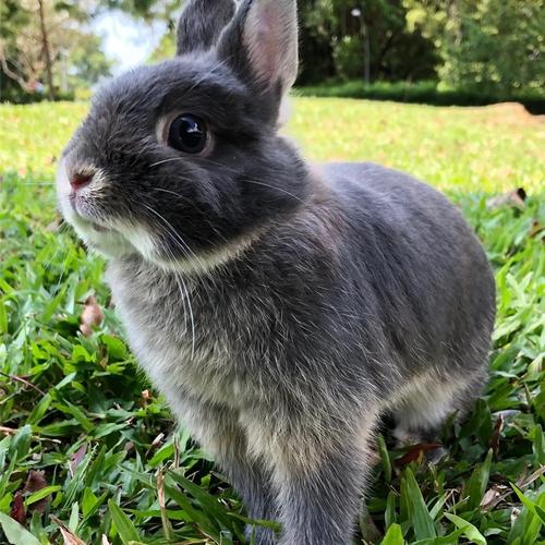 ������ǩ�ȼ��ֶ���_ѧҵѹ���᲻��̫��(������ǩ�ȼ�