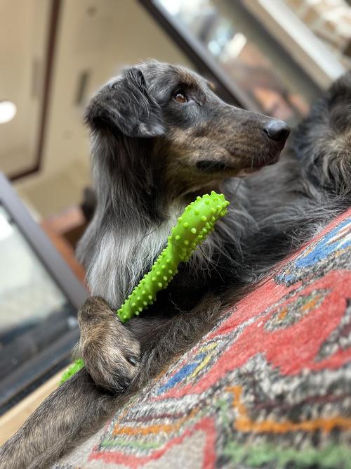 ͥǩ79ǩʲô˼֮ϵʲô(ǩ79ǩʲô˼ͥĹϵǷֵõ)