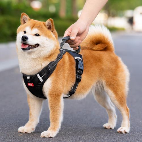 ���εķ�ˮ���������ص����εĹ���ʹ��淽����ʳ�ý���