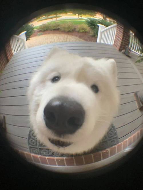 ����ͮ������Сħ����˭