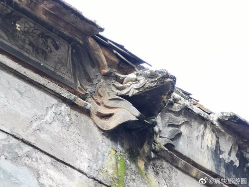 ������������,�������ĳ�������