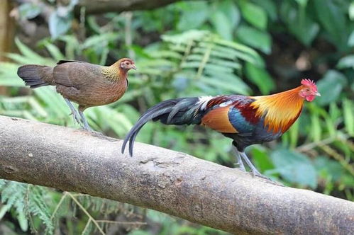 ǩ_޲ܷ񳤾˳(ǩã޲)