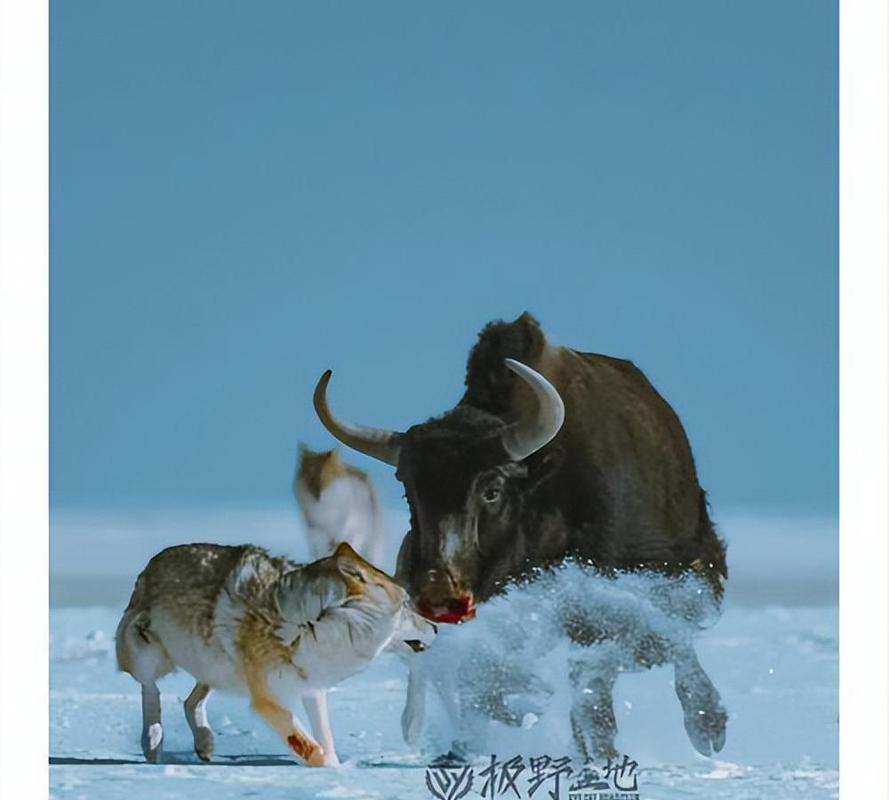 ˮõĵطʲô ˮõĵطǲǴųǿ