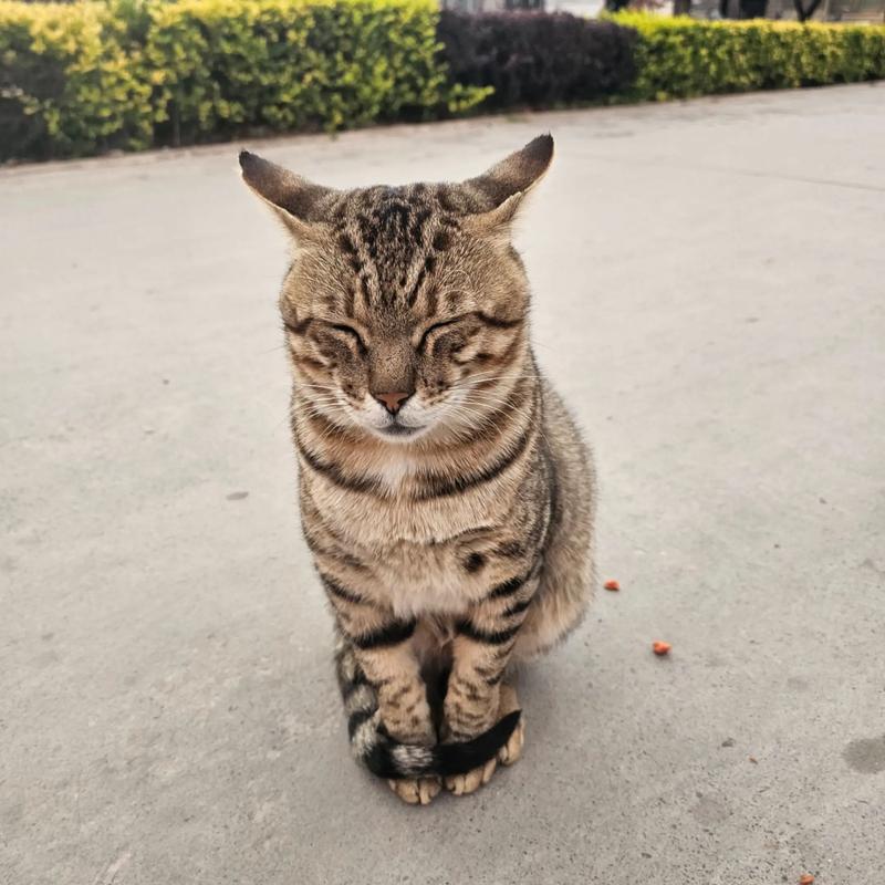 ̯ܷʾδı仯(̯ܷ׼ȷʾ仯)