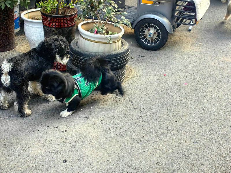 吕祖灵签王明光_夫妻问题财运如何(吕祖灵签王明光夫妻关系如何改善财运) 吕祖灵签王明光_夫妻问题财运如何(吕祖灵签王明光夫妻关系如何改善财运)