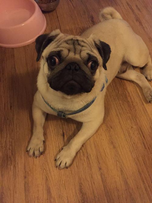 ��ӽ�����������Ƕ���