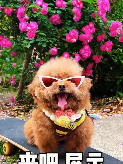 1969����ʲô��Ф