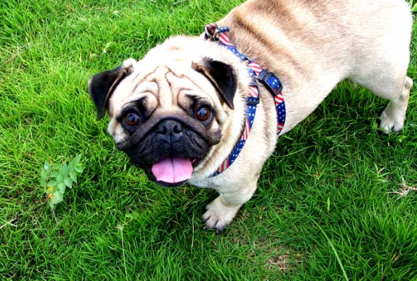 ��Ф������2025���������