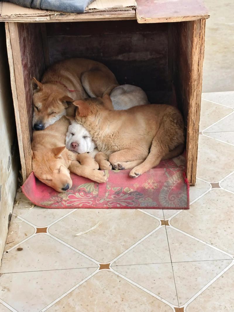 李居明八字配对真有如此神准?为啥我配对后就没下文了? 李居明八字配对真有如此神准?为啥我配对后就没下文了?