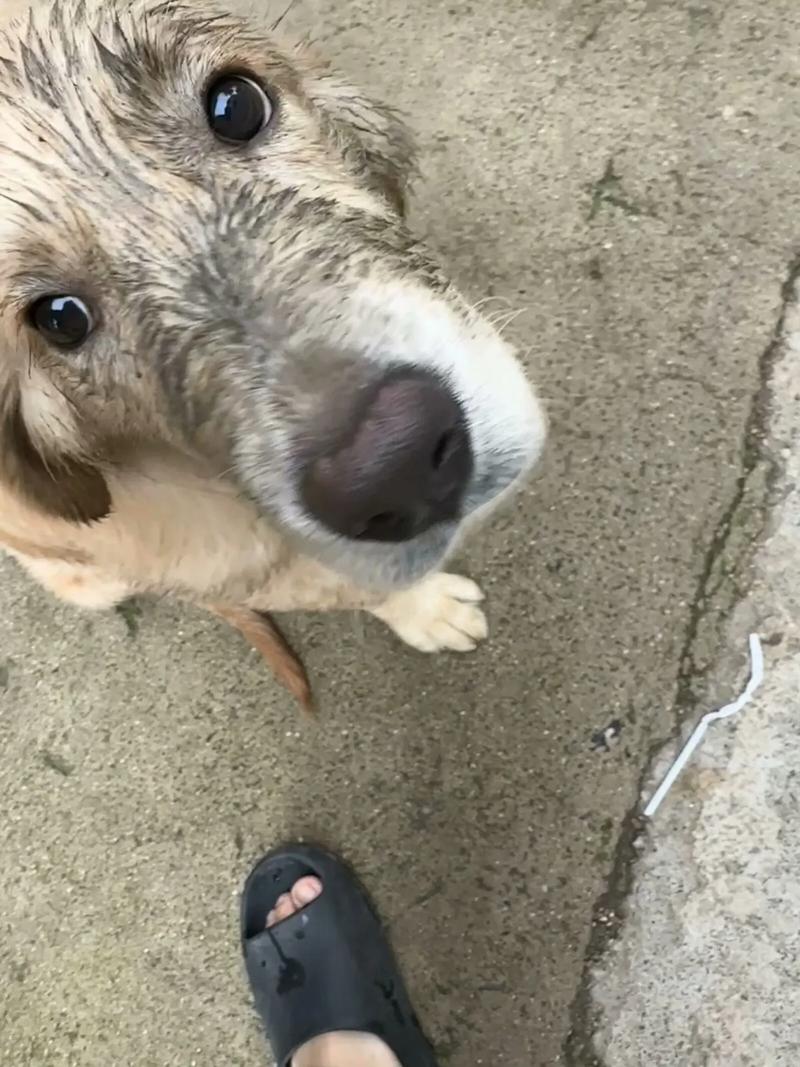 古色古香的意思使一样的形象 古色古香的意思使一样的形象