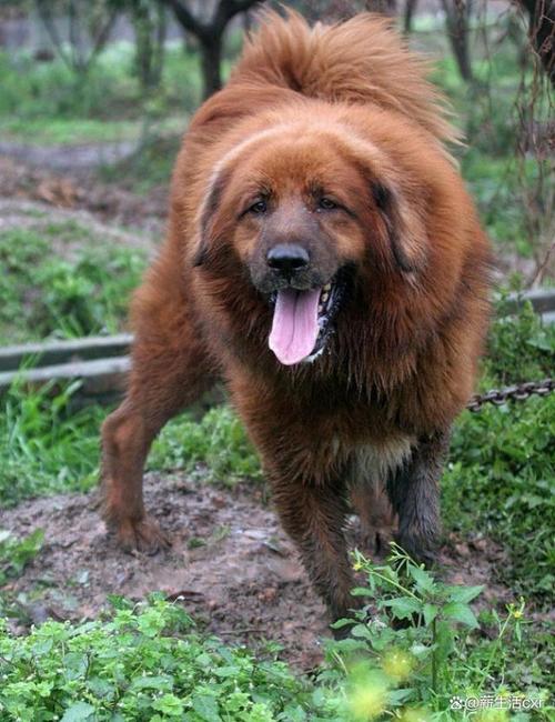 ҵФЩܹЯֹԻͻǱԴ