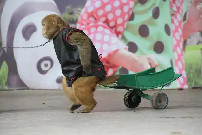 ���轭��ͬʲôʱ�����