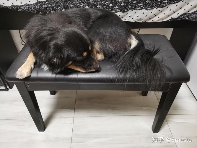 财神灵签文大全学业瓶颈期何去何从(财神灵签文大全_学业瓶颈期_运气会否逆转吗) 财神灵签文大全学业瓶颈期何去何从(财神灵签文大全_学业瓶颈期_运气会否逆转吗)