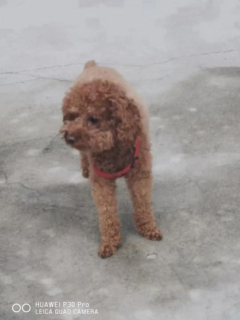 ɶкǷӰ캢ӵδչ(ɶкǷӰӵ̬)