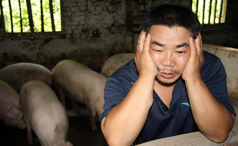 ���·��� �����������й���