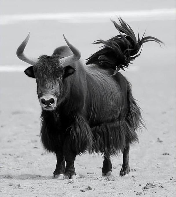 ƴ80ǩԵ_ѧҵƿ_ǩ_ƾ(ƴ80ǩԵѧҵƿ)