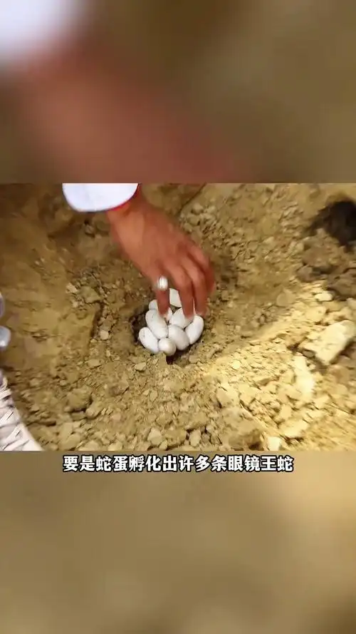 ϰ׸ӰԸĺг(ϰ׸ӰԸ͵ķˮ)