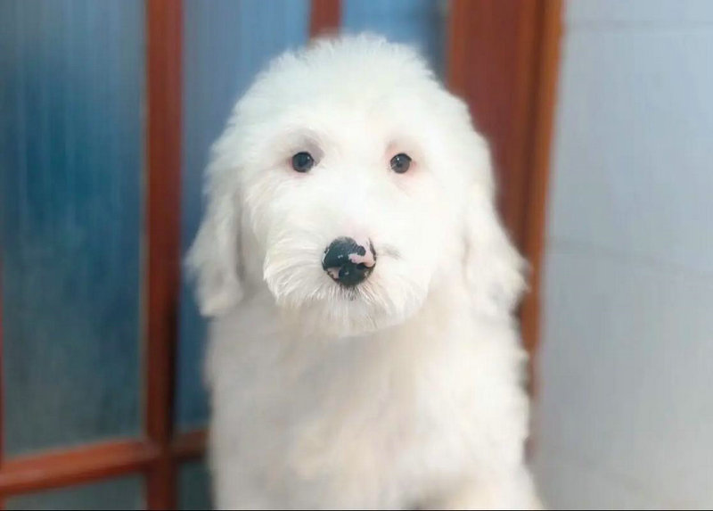 ������Ƿ��Ӱ�����ǵ���гɳ�����Фƥ��(������Ƿ���Ǳ��Ĭ����Ӱ�������гɳ�)