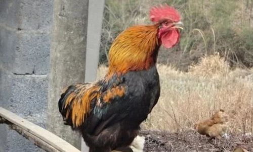 ������ʵ����,�������Ӷ��