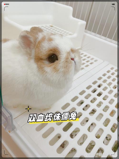 ũ226ջƵղѯ,ղλѯ 20