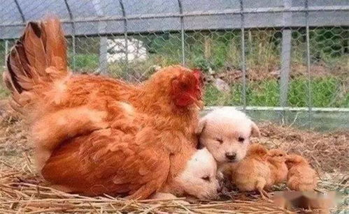 ����֢Ů������