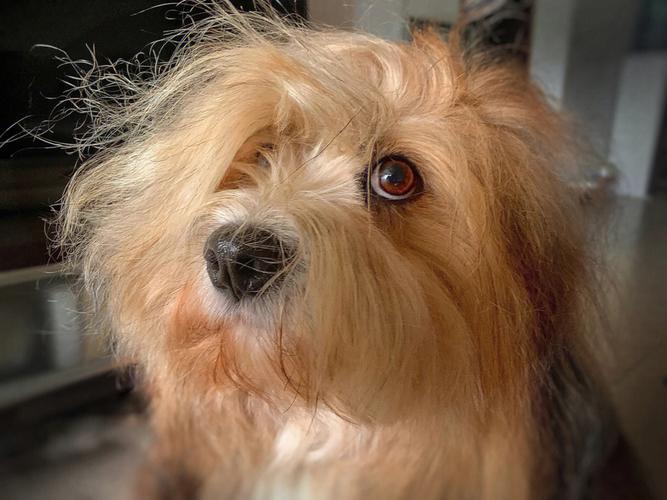 Ųλڷʲô,еĲλʲô